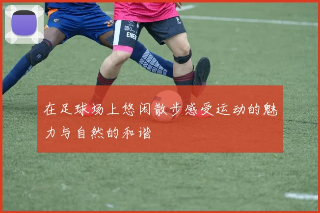 在足球场上悠闲散步感受运动的魅力与自然的和谐
