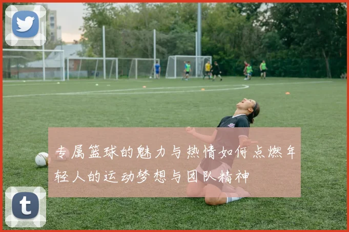 专属篮球的魅力与热情如何点燃年轻人的运动梦想与团队精神
