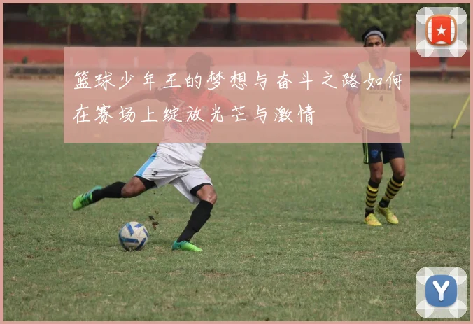 篮球少年王的梦想与奋斗之路如何在赛场上绽放光芒与激情