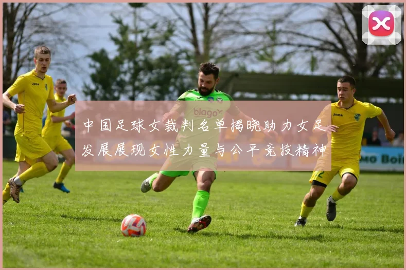 中国足球女裁判名单揭晓助力女足发展展现女性力量与公平竞技精神