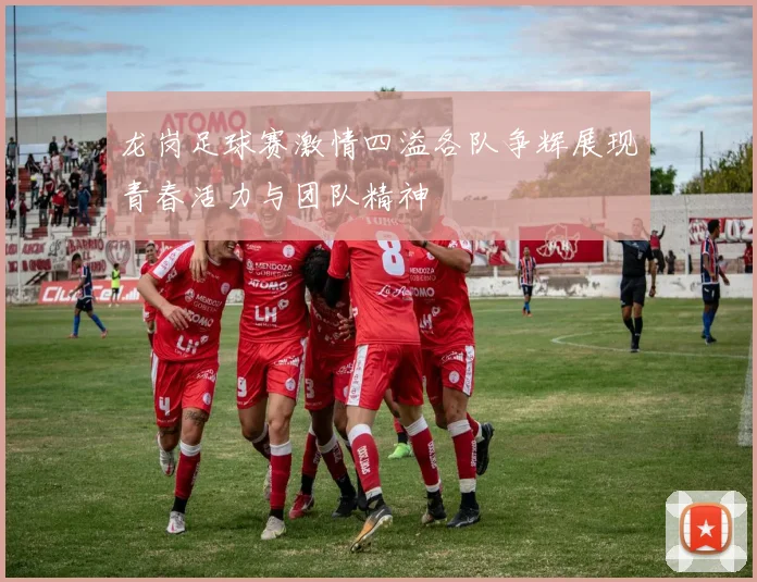 龙岗足球赛激情四溢各队争辉展现青春活力与团队精神